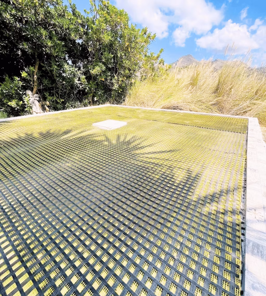 14fe2b_bcdc82a84b414fd88367fdb6b583ba65~mv2